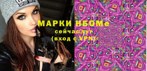 твердый Арсеньев