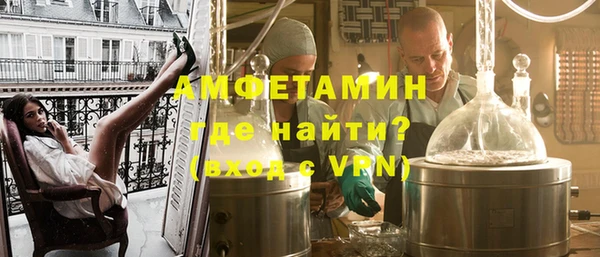 ГАЛЛЮЦИНОГЕННЫЕ ГРИБЫ Аркадак