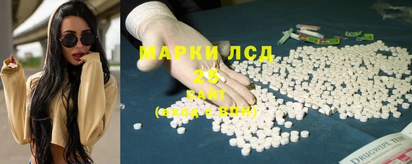 ГАЛЛЮЦИНОГЕННЫЕ ГРИБЫ Аркадак