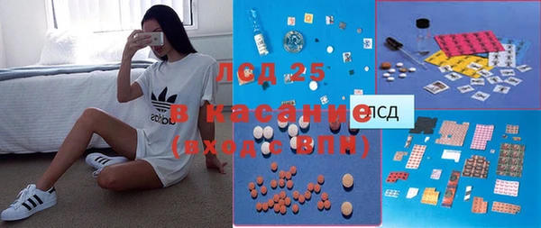 ГАЛЛЮЦИНОГЕННЫЕ ГРИБЫ Аркадак