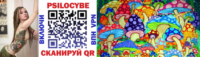 Псилоцибиновые грибы Psilocybine cubensis  Юрьевец 
